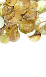 Iridescent Mussel Sea Shell Flat Round Coin Drop Charm Thin Disc Beads w/Hole~Sold Individually