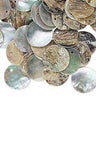 Iridescent Mussel Sea Shell Flat Round Coin Drop Charm Thin Disc Beads w/Hole~Sold Individually