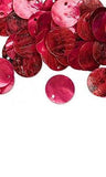 Iridescent Mussel Sea Shell Flat Round Coin Drop Charm Thin Disc Beads w/Hole~Sold Individually